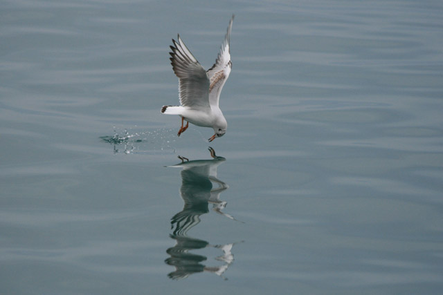 20070121 137 orig.jpg