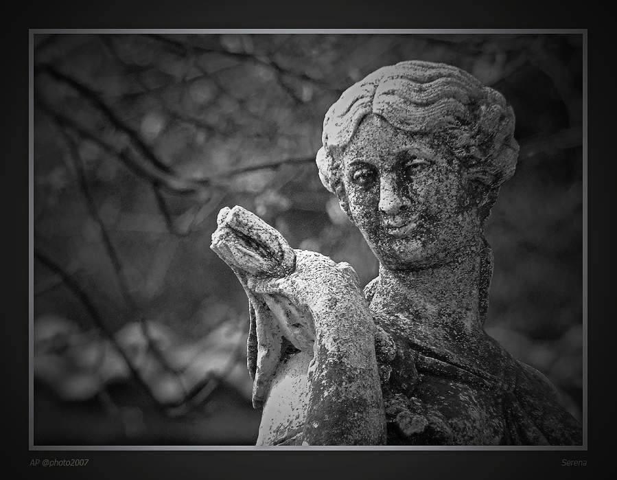 2007_04010002serena sfum90.jpg