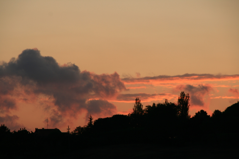 20080923_2354web.jpg