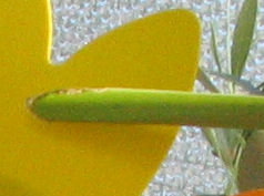 200ISO.jpg