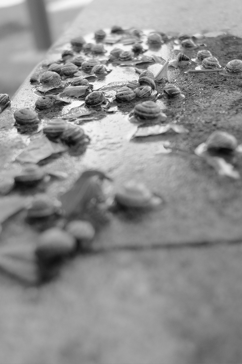 20101002_x30 (112).jpg