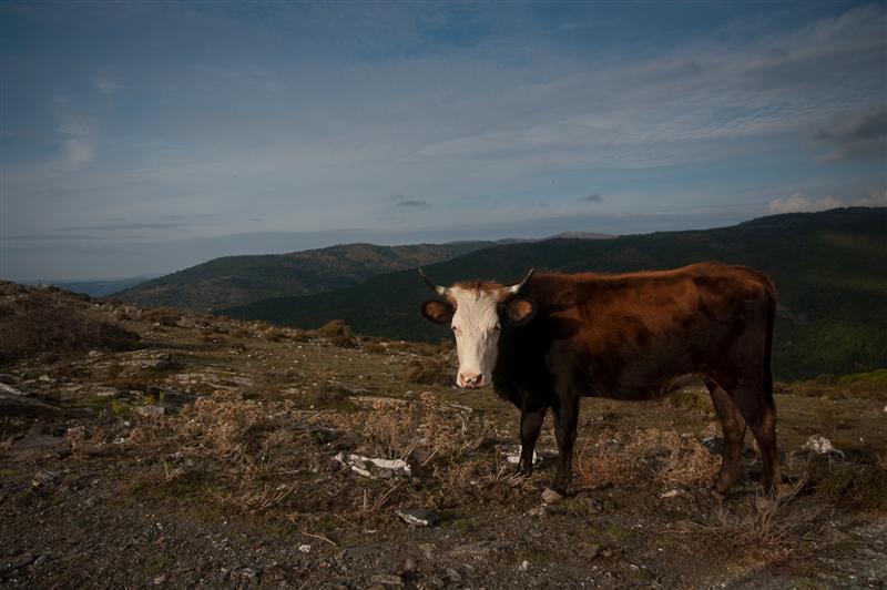 20111101-IMGP9926 (Medium).jpg