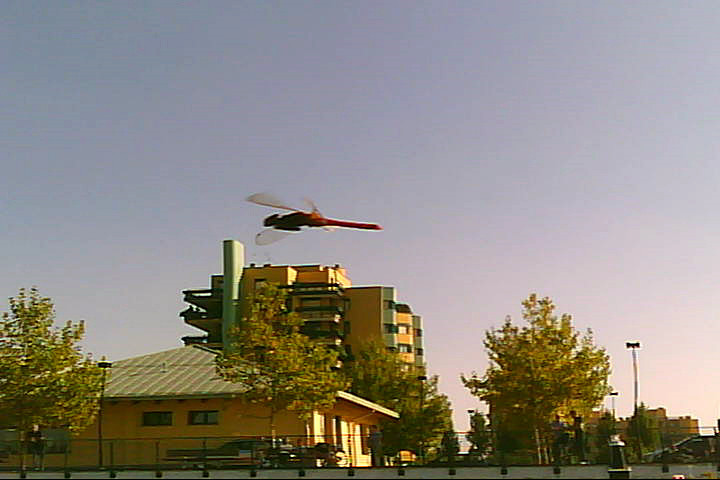 20120916 - Laghetto Malaspina_Libellule_012.jpg