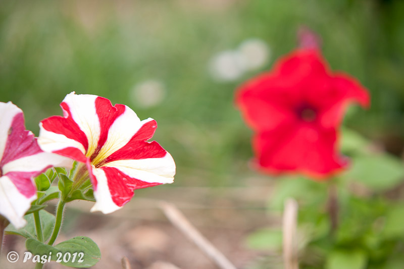 2012_05_23_5347.jpg
