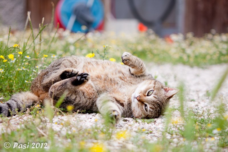 2012_05_23_5379.jpg