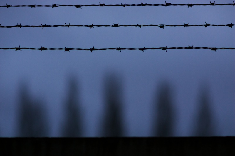 2013-11-10_LW2K9413 (1).jpg