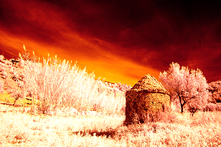 2015DSC_9648.jpg