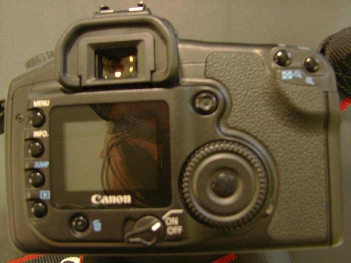 20d-4.jpg
