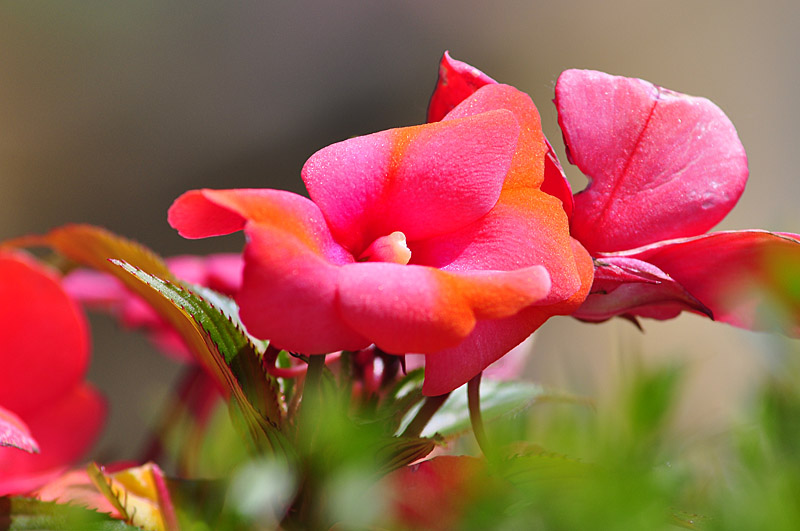 210mm_f8.jpg