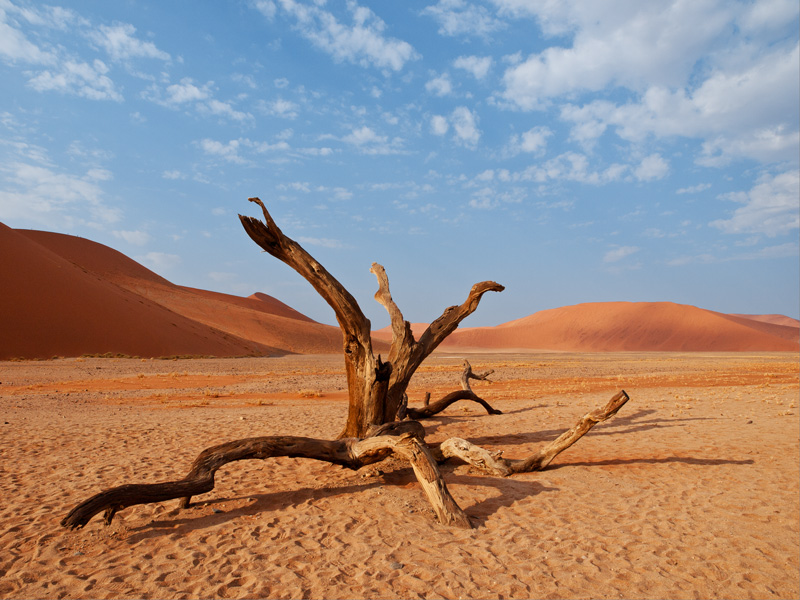 2 DeadVlei-piovraweb.jpg