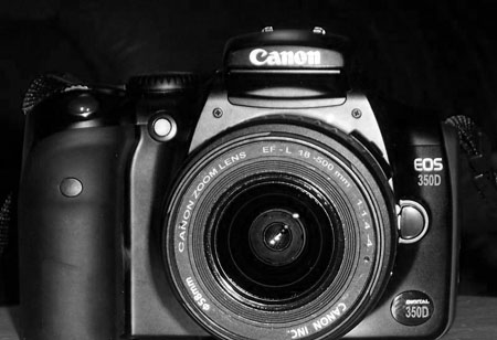 350d.jpg