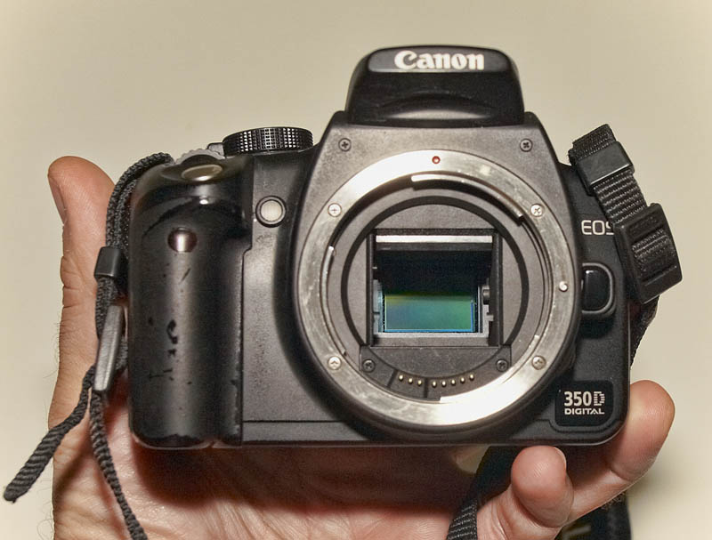 350D_05a.jpg