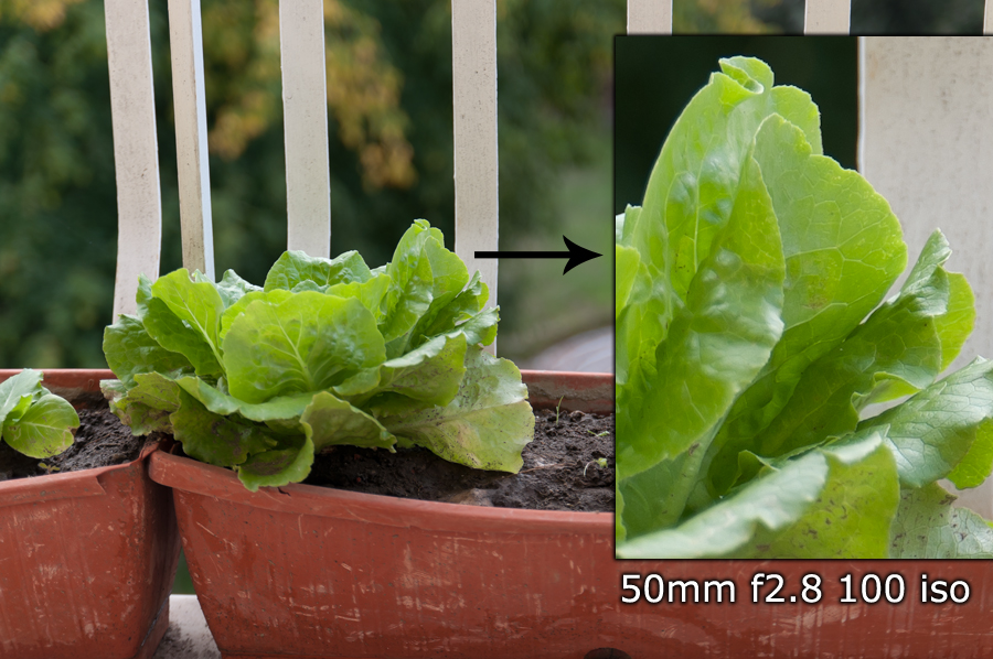 50mm f2.8 esempio 2.jpeg