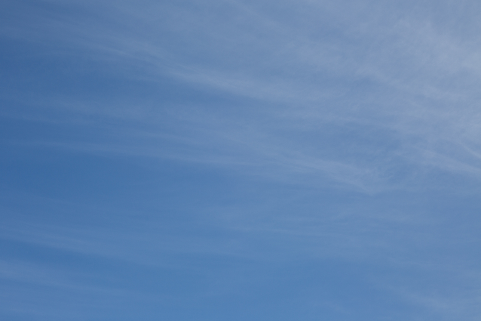 5d3_resize-004.jpg