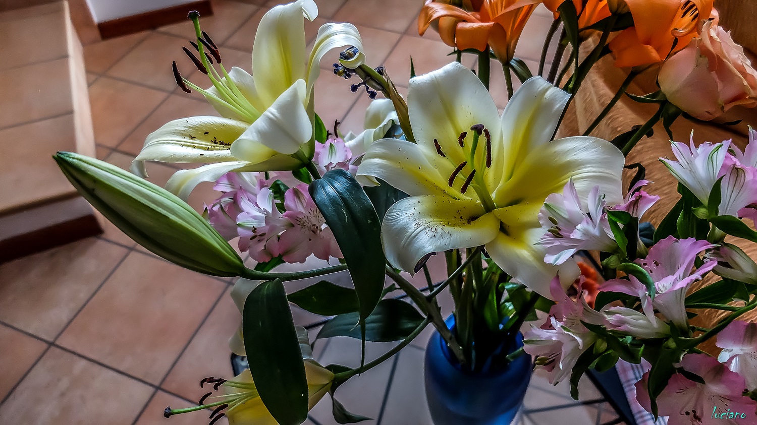 6-4-15  lightroon 5 (2).jpg