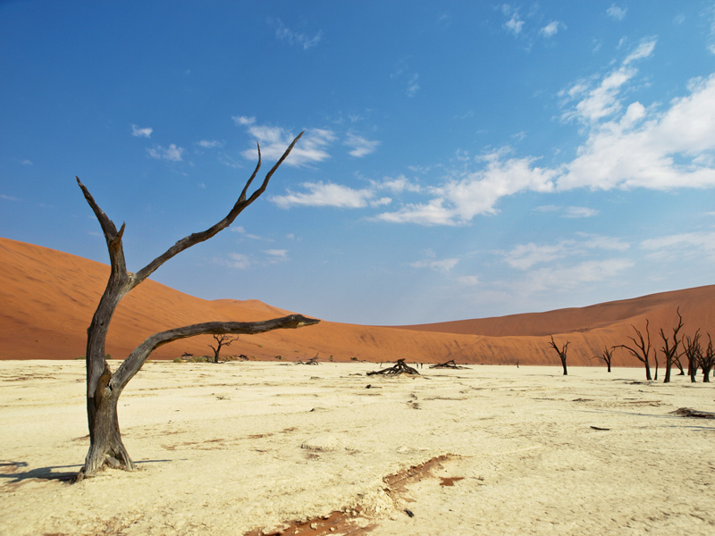 6 Dead-Vlei-swanweb.jpg