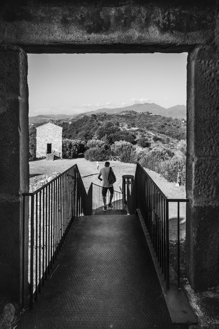 _1300598.JPG