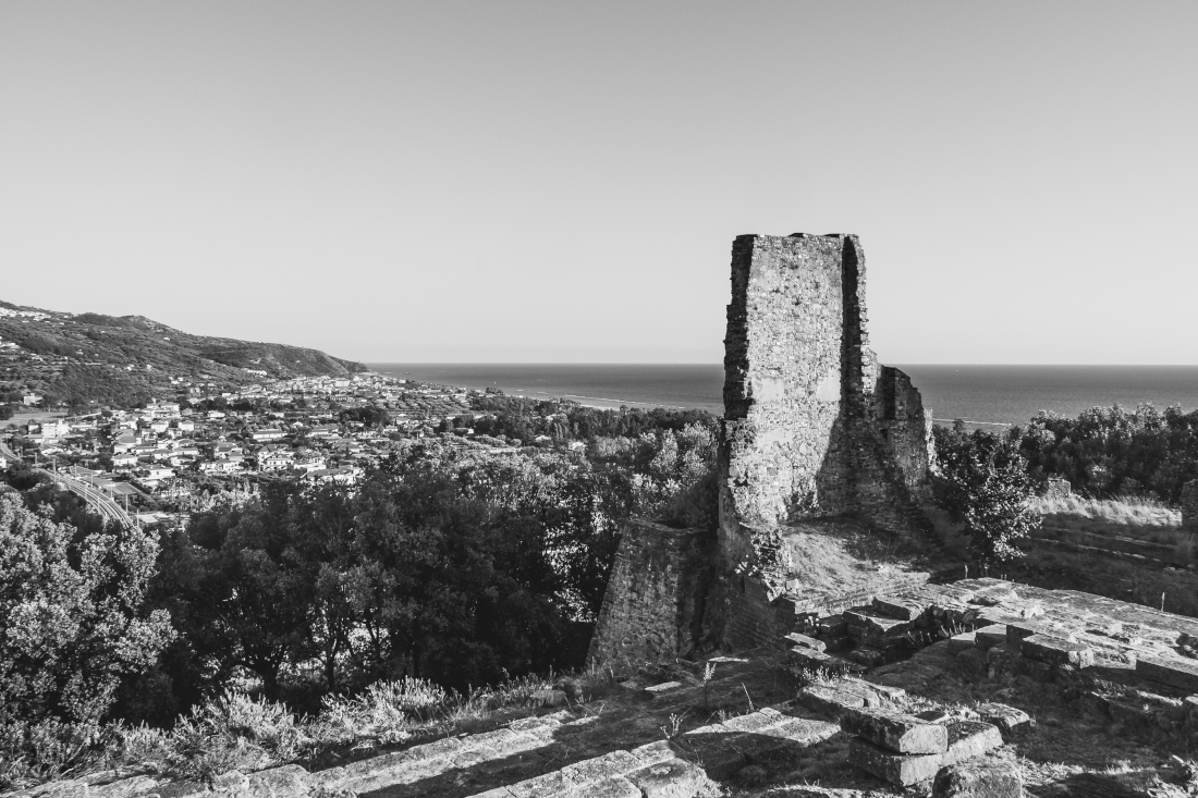 _1300599.JPG