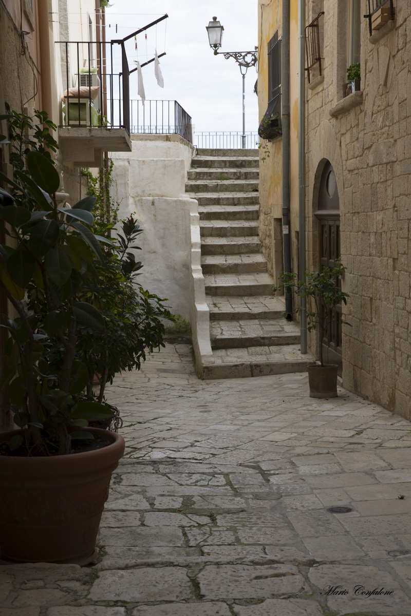 _50A0220.jpg