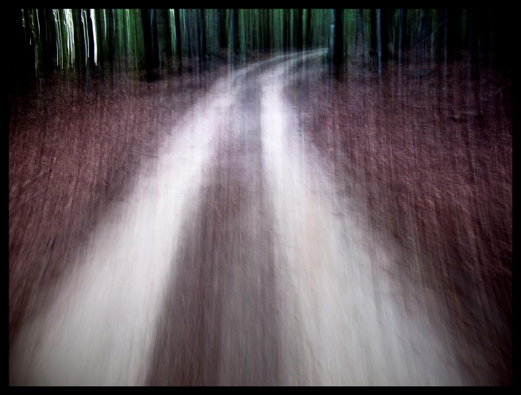 _8271080 copia (Large).jpg