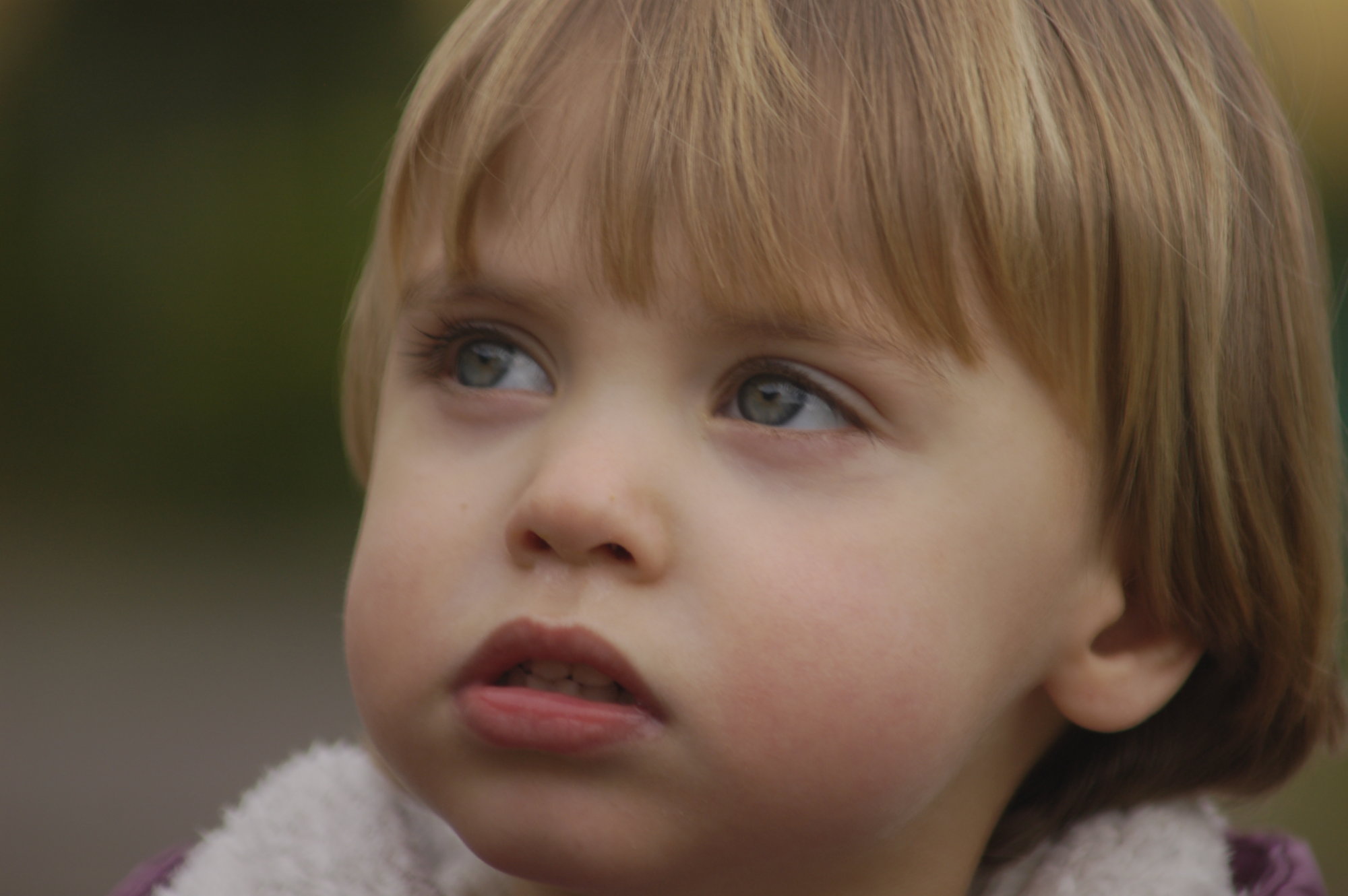 _DSC0147 ridotta.JPG