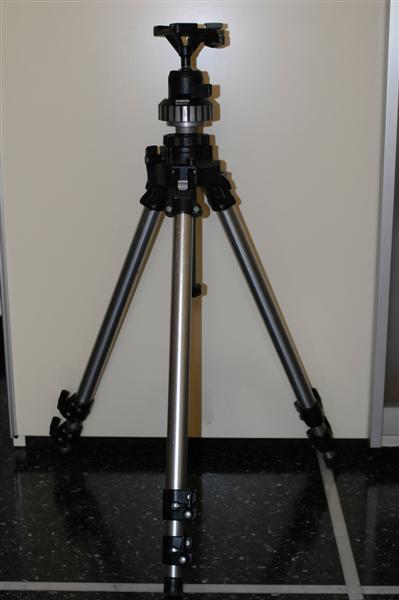 _DSC0275 (Medium).JPG