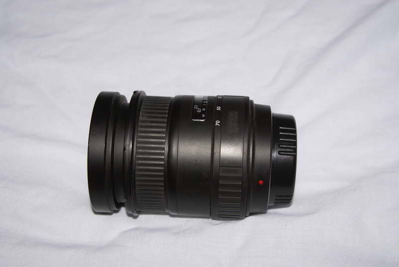 _DSC1006_ridimensionare.JPG