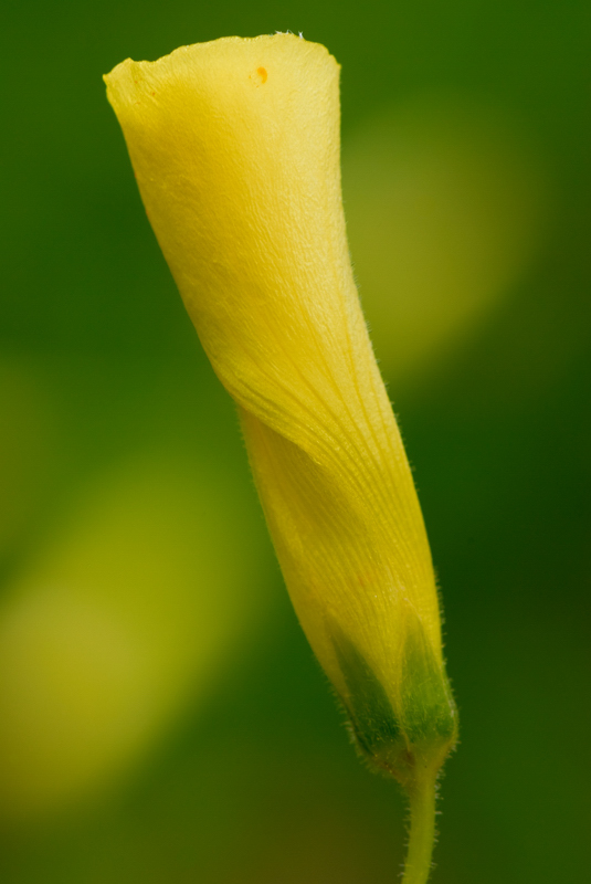 _DSC1600_ND.jpg