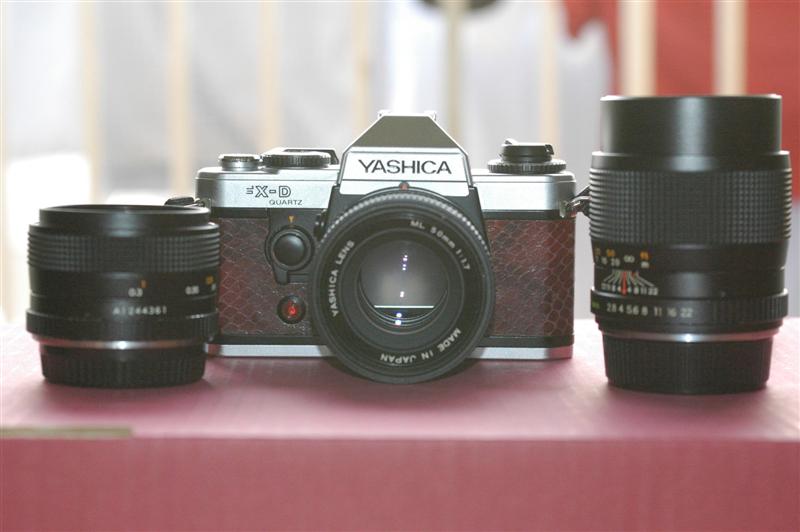 _DSC1684 (Medium).JPG