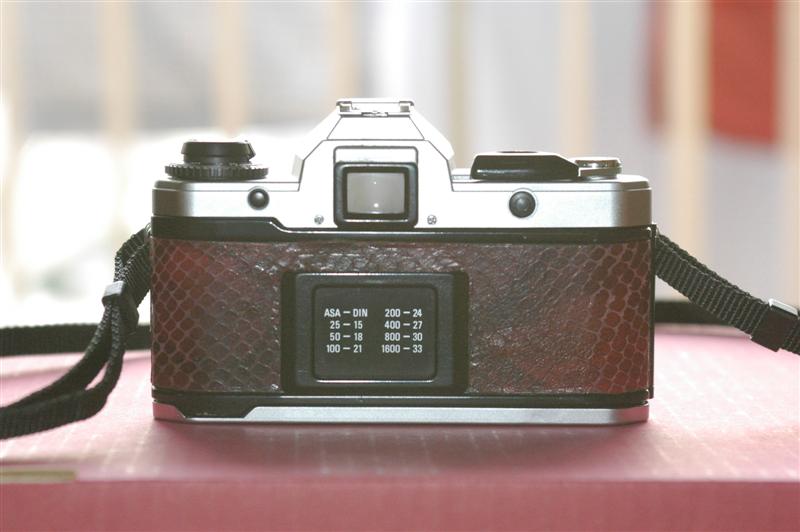 _DSC1686 (Medium).JPG