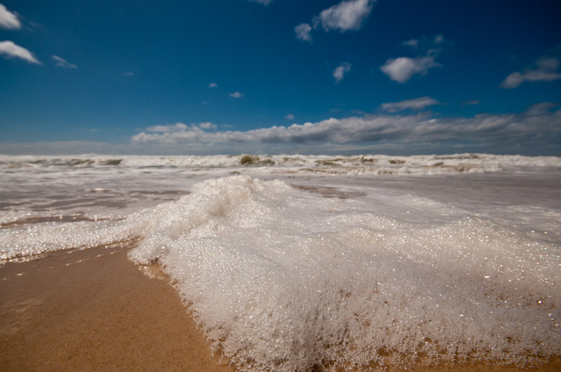 _DSC3825.jpg