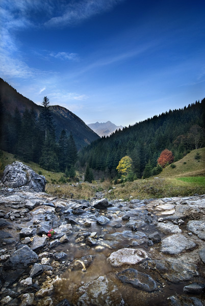 _DSC5433-1 copia.jpg