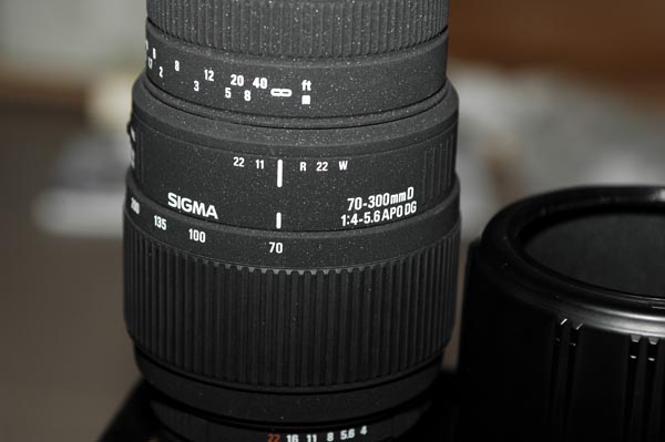 _DSC8265.jpg