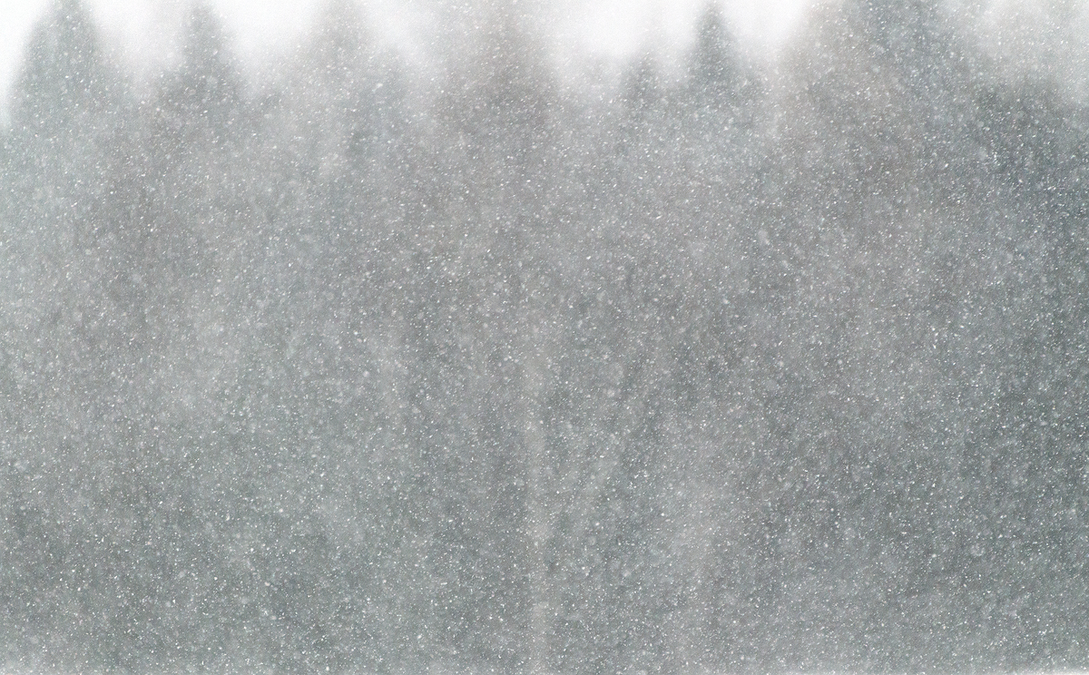 _DSC8522-Modifica-2 copia2.jpg