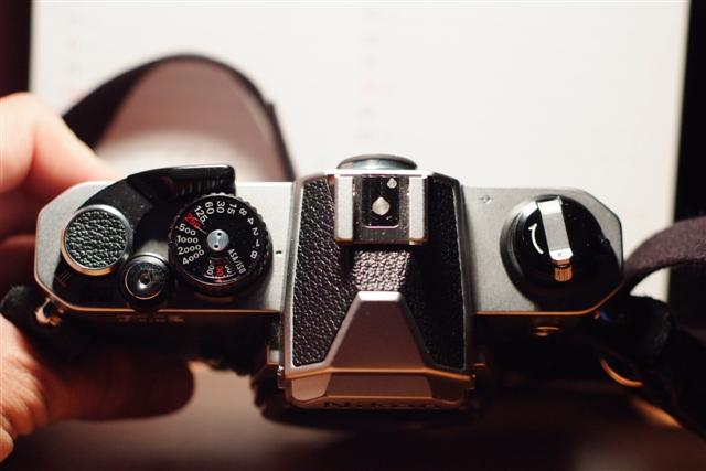 _DSF0845 (Small).JPG