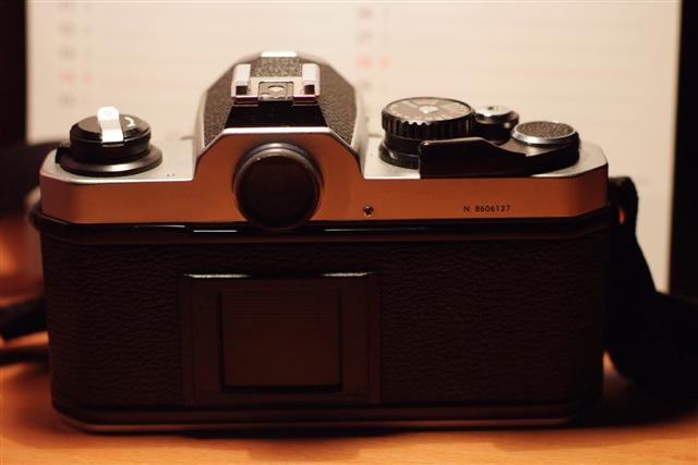 _DSF0846 (Small).JPG