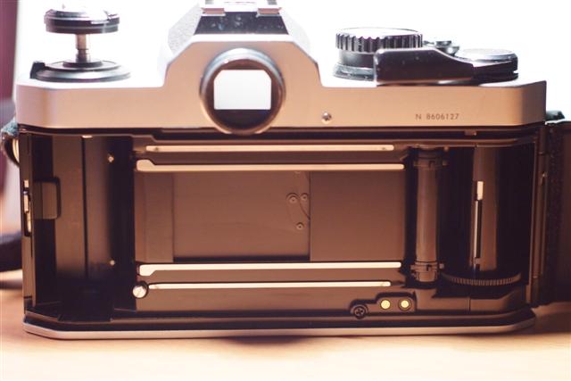 _DSF0847 (Small).JPG