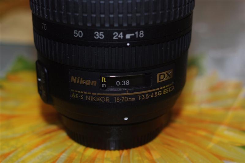 _DSF1163 (Medium).JPG