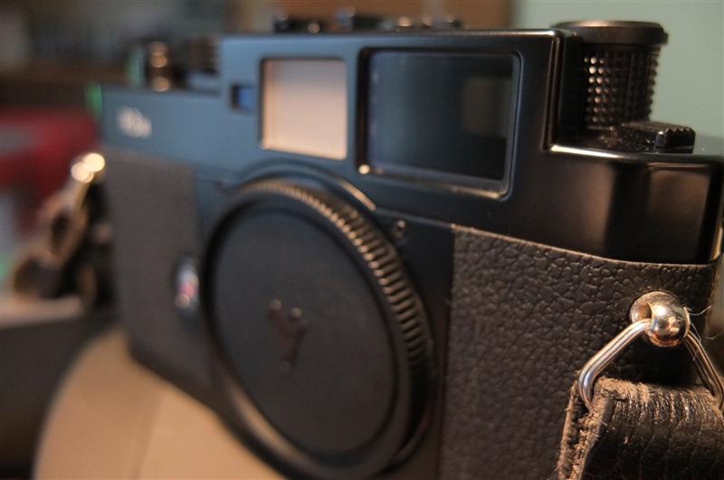 _DSF6655 (Medium).JPG