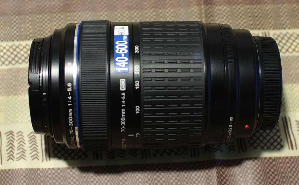 _E5A8493.JPG