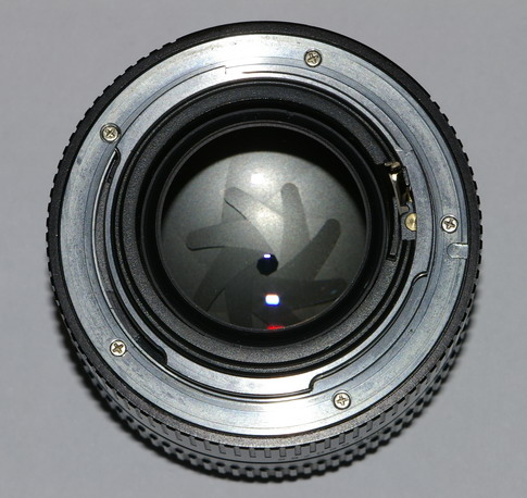 _IGP4539_resize.jpg