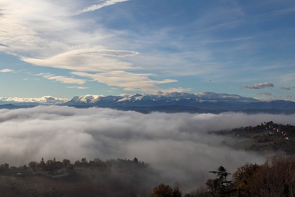_MG_0004.JPG