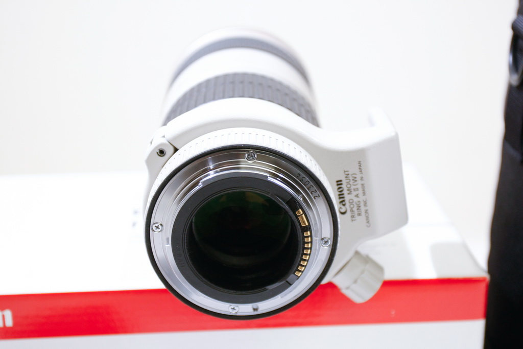 _MG_0159_resize.jpg