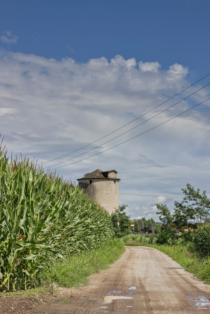_MG_1834.jpg