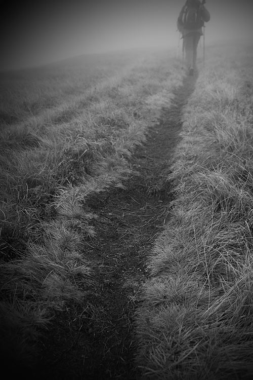 _MG_4040.jpg