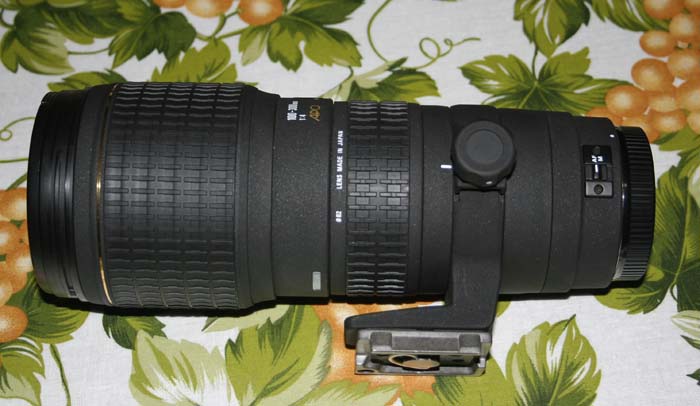 _MG_4074.JPG