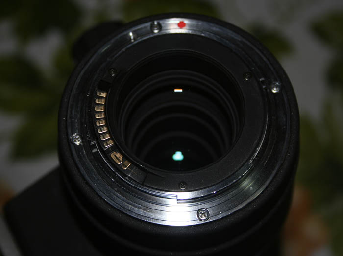 _MG_4077.JPG