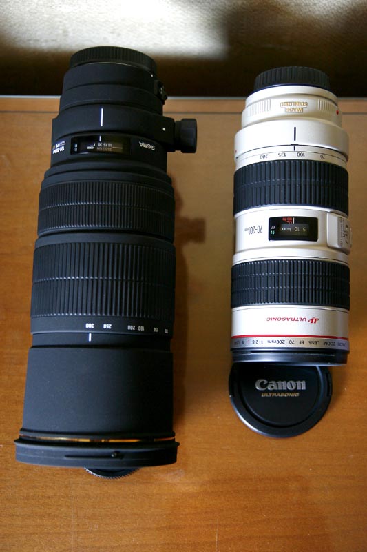 _MG_5079.jpg