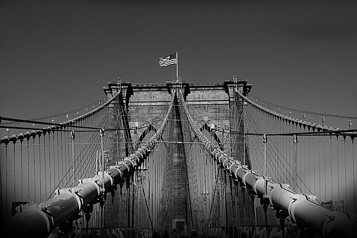 _MG_5451.jpg