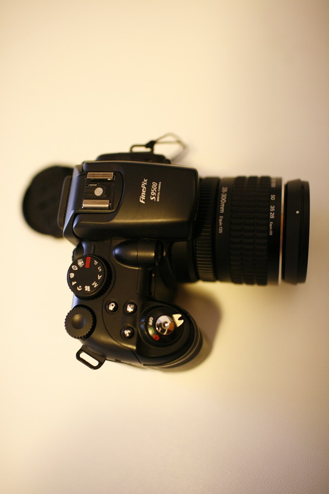 _MG_7090.jpg